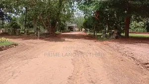කටාන මීගමුව පාරට මීට්ර් 500 ක් දුරින් බිම්කොටස්