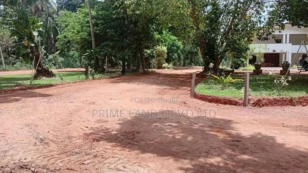කටාන මීගමුව පාරට මීට්ර් 500 ක් දුරින් බිම්කොටස්