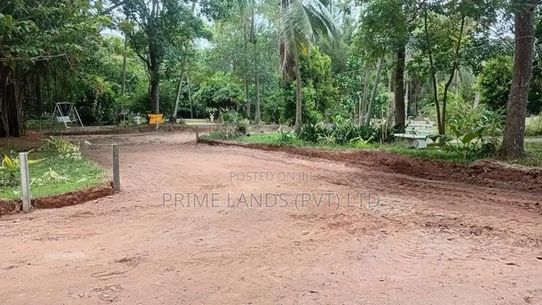 කටාන මීගමුව පාරට මීට්ර් 500 ක් දුරින් බිම්කොටස්
