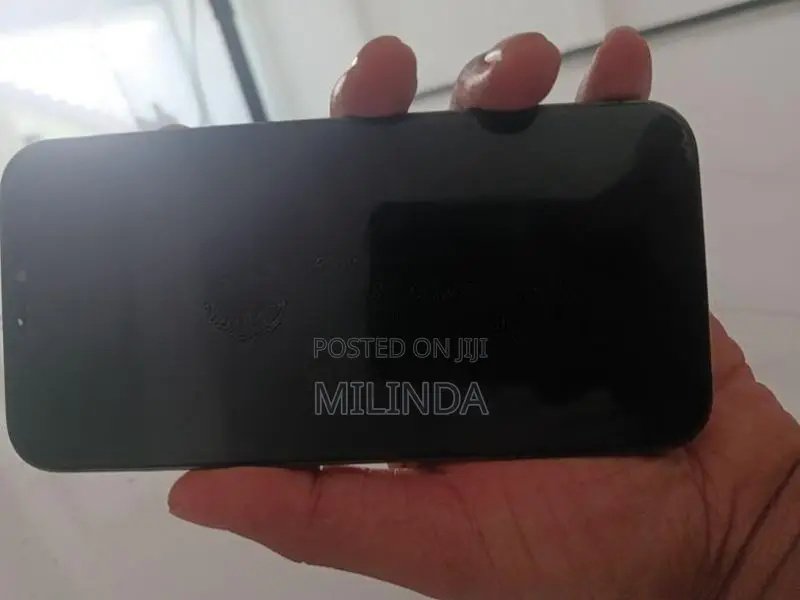 Apple iPhone 12 Pro Max (Used)