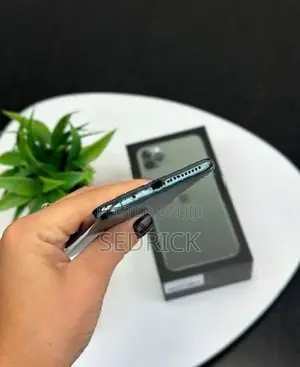 Apple iPhone 11 Pro Max (Brand New)