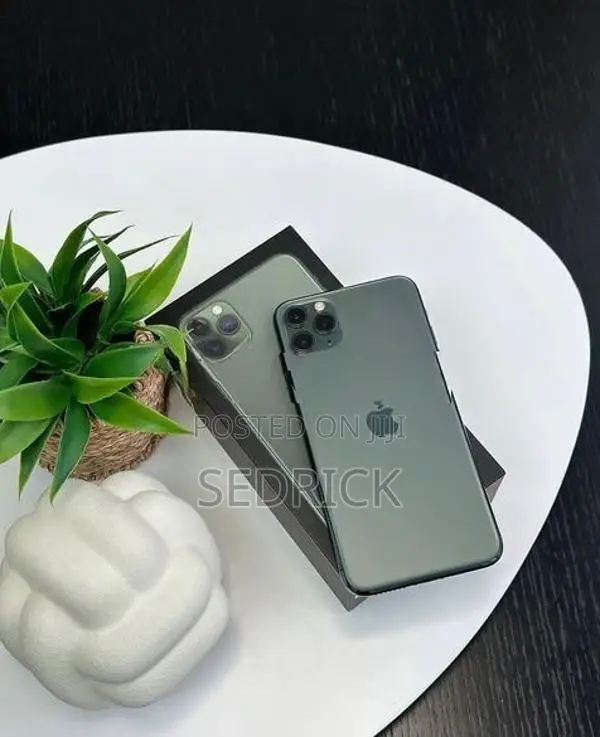 Apple iPhone 11 Pro Max (Brand New)