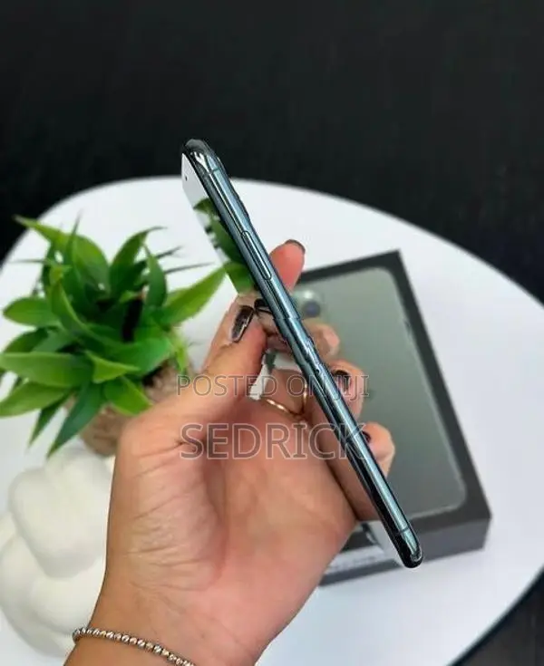 Apple iPhone 11 Pro Max (Brand New)