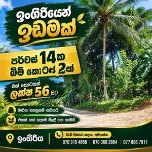 Land For Sale In Ingiriya