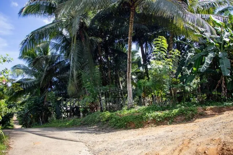 Land For Sale In Ingiriya