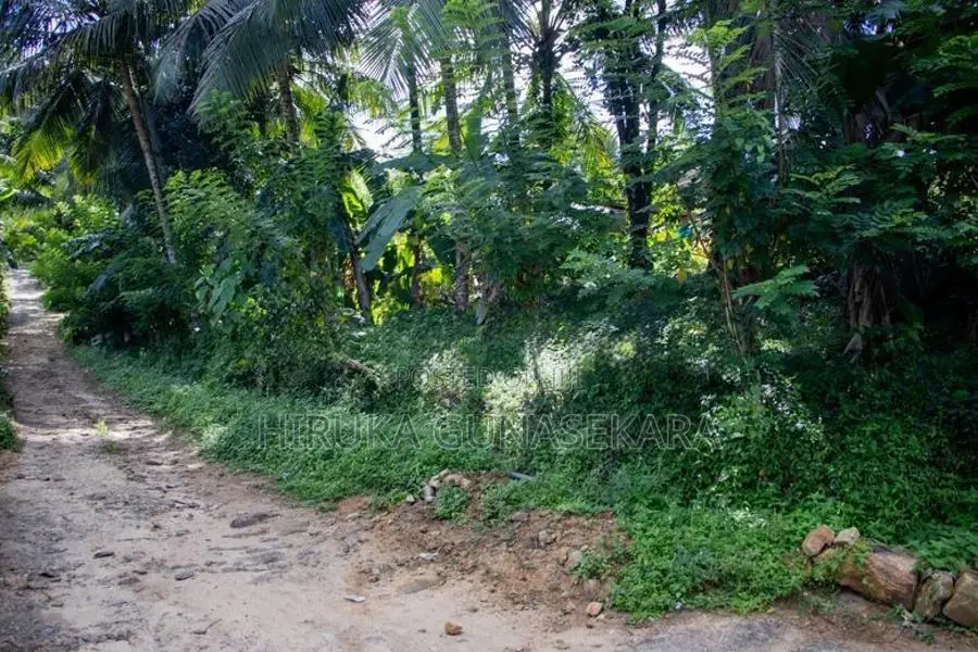 Land For Sale In Ingiriya