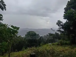 Land for Sale Herassagala