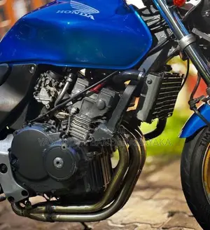 Honda Hornet 250 2010