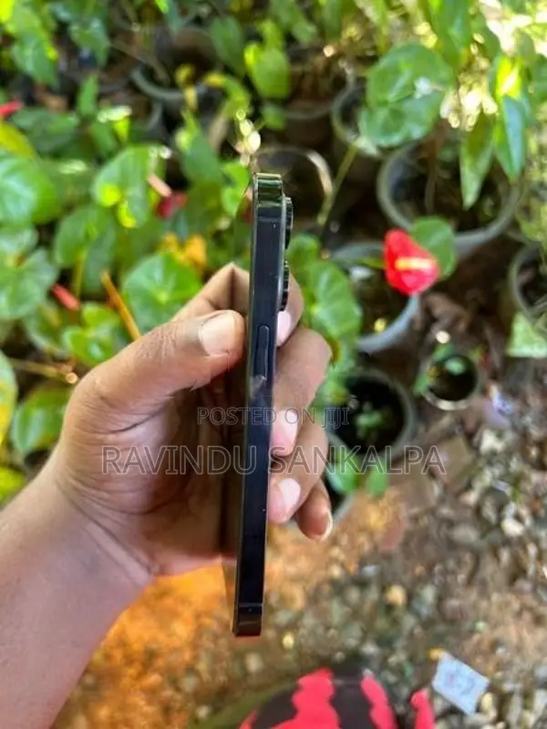 Apple iPhone 14 Pro 256GB (Used)