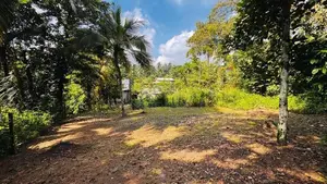 Land for Sale Kadawatha