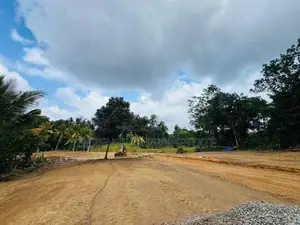 Valuable Land for Sale Homagama