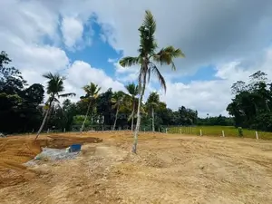 Valuable Land for Sale Homagama