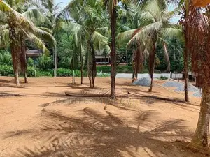 හන්වැල්ල වේවැල් පනාව බස් පාරට මුහුනලා විකිණීමට බිම් කොටස් Diddheniya