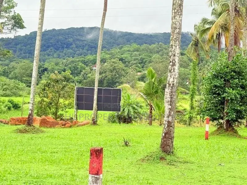 මීරිගම සුන්දර වෙල් යායකට මුහුණලා ඉඩමක්