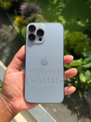 Apple iPhone 13 Pro Max 128GB (Used)