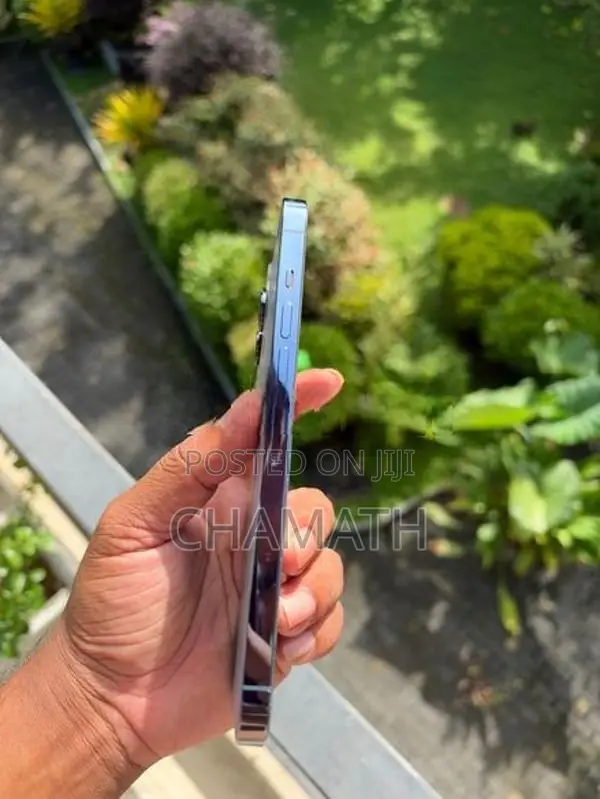 Apple iPhone 13 Pro Max 128GB (Used)