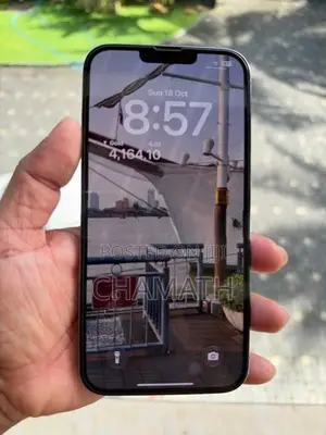 Apple iPhone 13 Pro Max 128GB (Used)