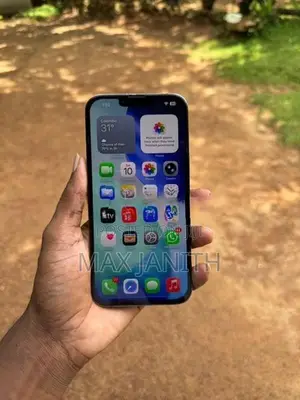 Apple iPhone 13 Pro Max (Used)
