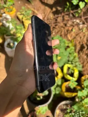 Apple iPhone 11 (Used)