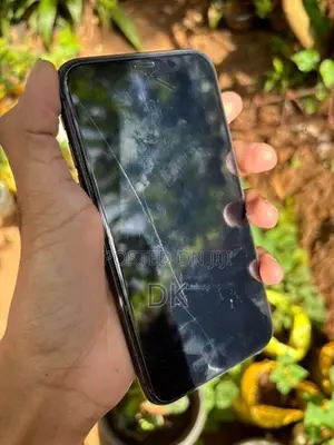 Apple iPhone 11 (Used)