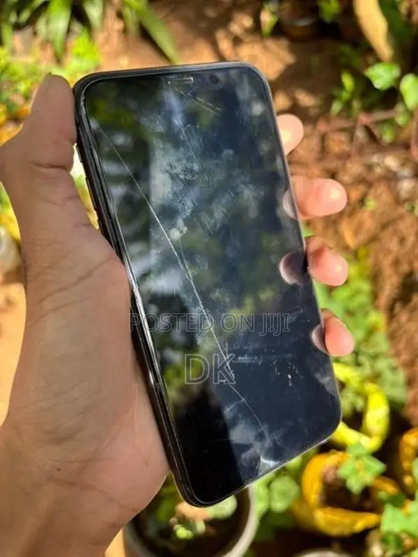 Apple iPhone 11 (Used)