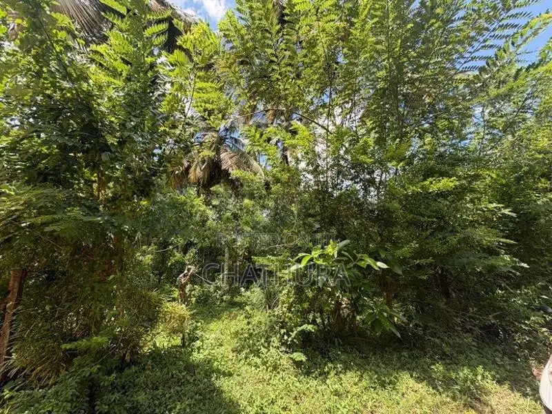 Land Sale Imaduwa Road In Ahangama