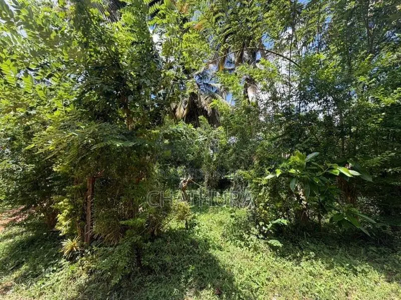 Land Sale Imaduwa Road In Ahangama