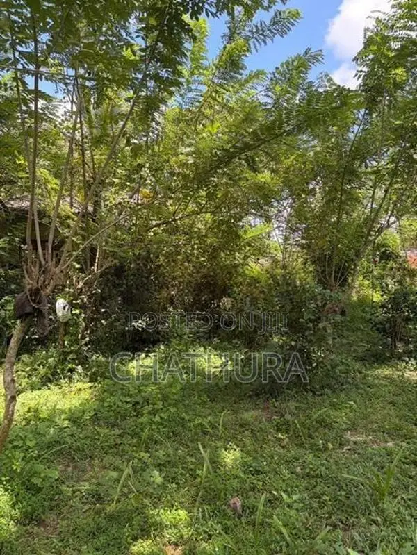 Land Sale Imaduwa Road In Ahangama
