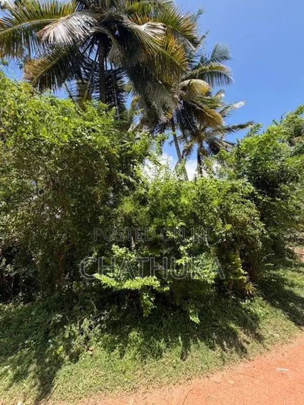 Land Sale Imaduwa Road In Ahangama