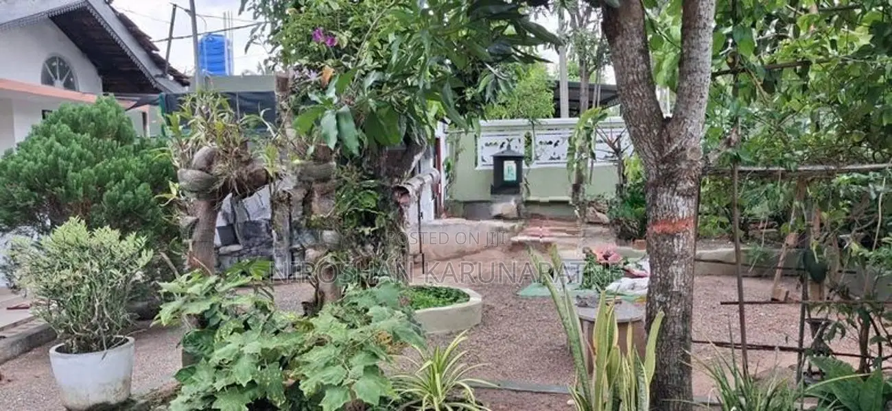 Single Storey House for Sale in Ekala
