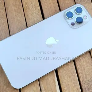 Apple iPhone 12 Pro Max (Used)