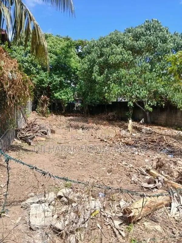 Land For Sale In Galle - ගාල්ලෙන් ඉඩමක් විකිණීමට