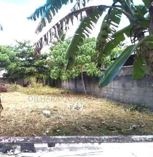 Land For Sale In Galle - ගාල්ලෙන් ඉඩමක් විකිණීමට