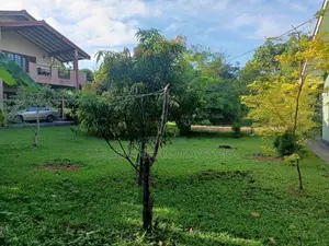 12 Perches Land for Sale in Rattanapitiya