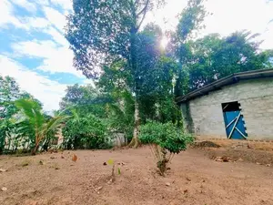 යක්කල ව්‍යාපාරික / ගබඩා සඳහා ඉතා සුදුසු ඉඩම ලක්ෂ 47