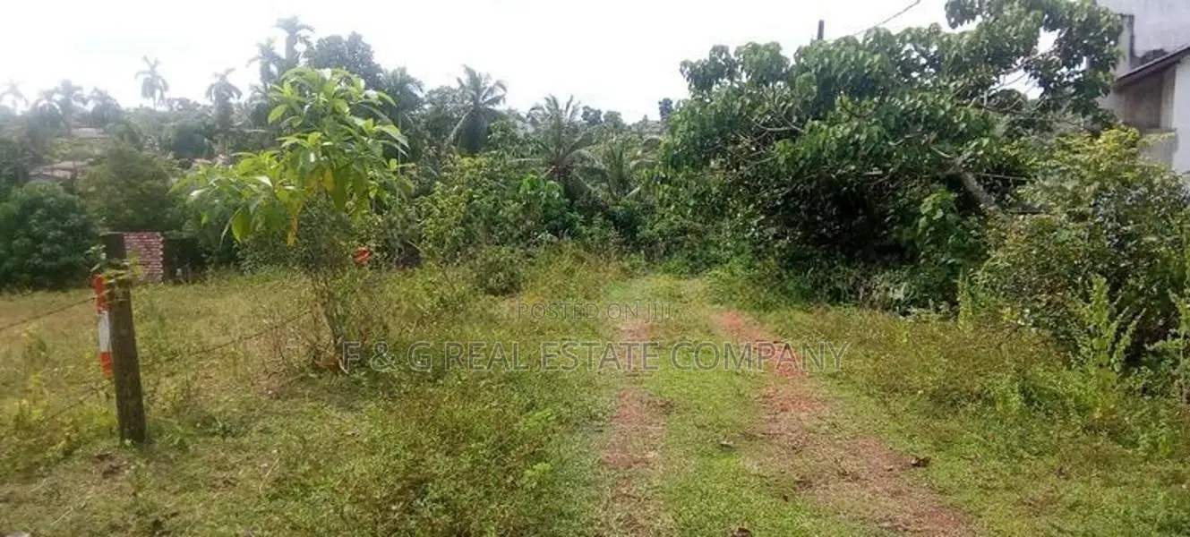 රයිගම වැව පාර. Land for Sale