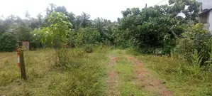 රයිගම වැව පාර. Land for Sale