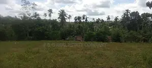 රයිගම වැව පාර. Land for Sale