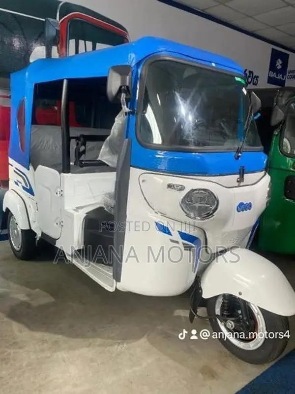 Bajaj Electric Model 2026