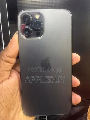 Apple iPhone 12 Pro Max (Used)