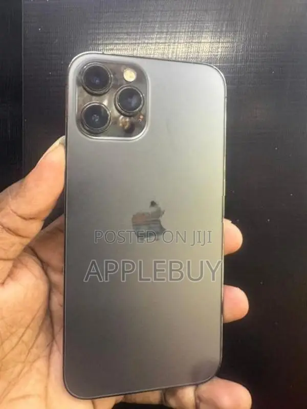 Apple iPhone 12 Pro Max (Used)