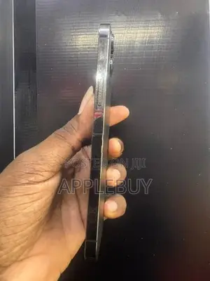 Apple iPhone 12 Pro Max (Used)