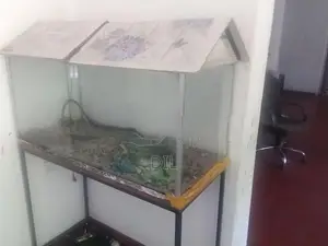 Fish Tank