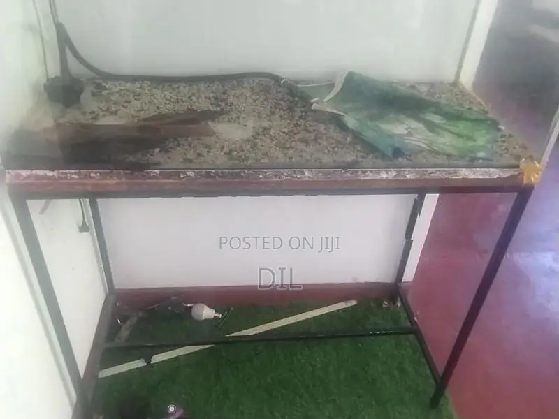 Fish Tank