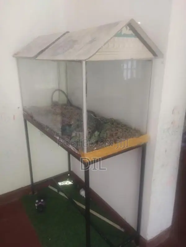 Fish Tank