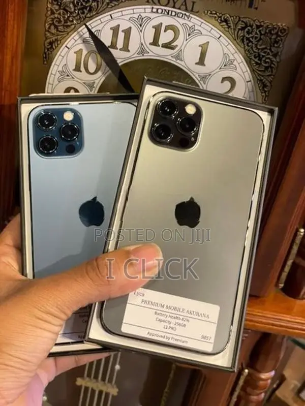 Apple iPhone 12 Pro 256GB (Used)