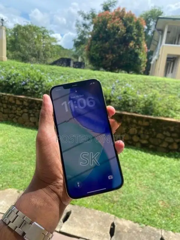 Apple iPhone 12 Pro Max (Used)