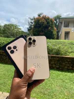 Apple iPhone 12 Pro Max (Used)