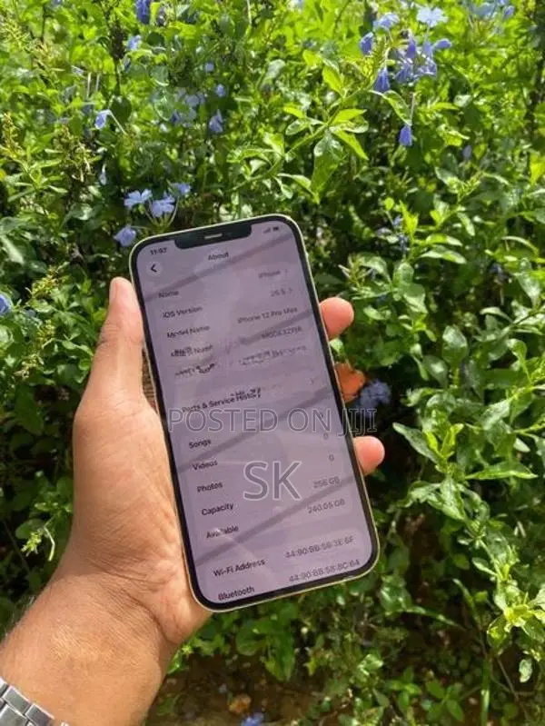 Apple iPhone 12 Pro Max (Used)