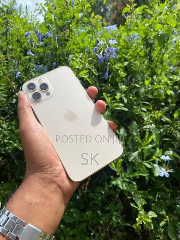 Apple iPhone 12 Pro Max (Used)
